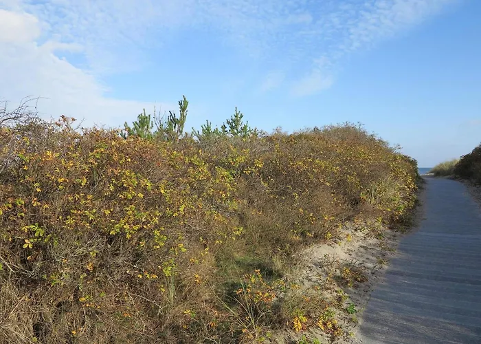 Casa vacanze 6 Person In Albaek-by Traum